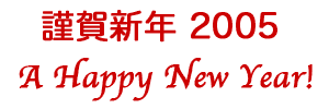 2005 New Year